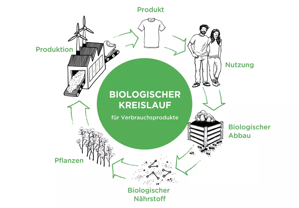 cradle to cradle Grafik des biologischen Kreislaufs