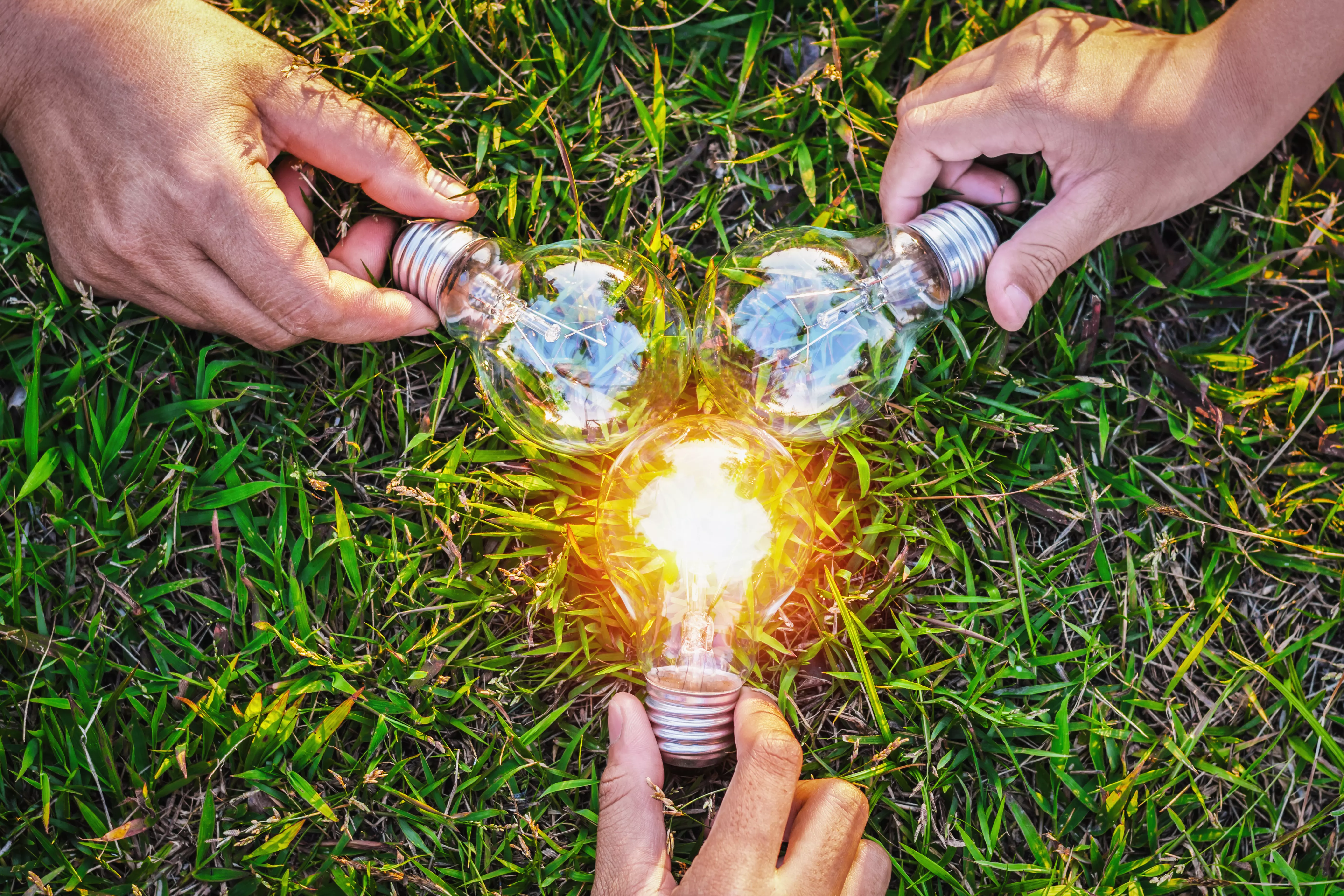 Three hands holding three light bulbs